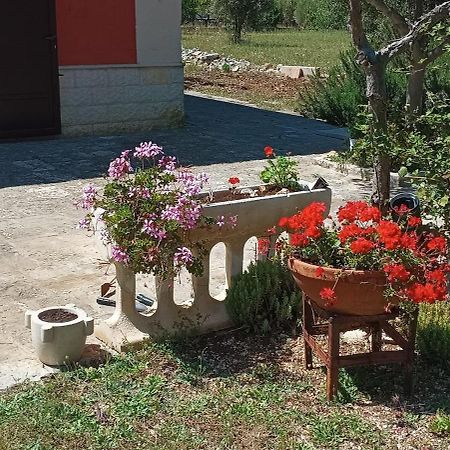 פולינאנו א מארה Casa Alle Vigne מראה חיצוני תמונה