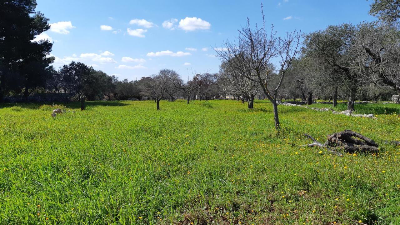 פולינאנו א מארה Casa Alle Vigne מראה חיצוני תמונה