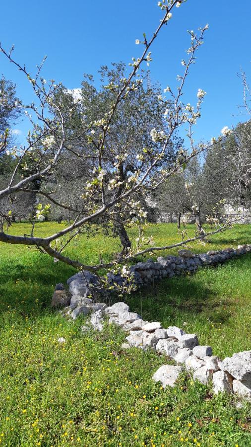 פולינאנו א מארה Casa Alle Vigne מראה חיצוני תמונה