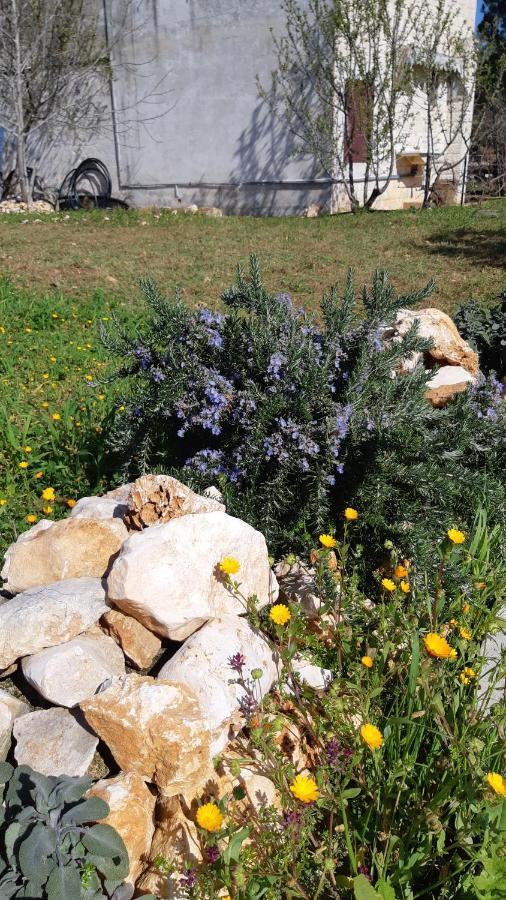 פולינאנו א מארה Casa Alle Vigne מראה חיצוני תמונה
