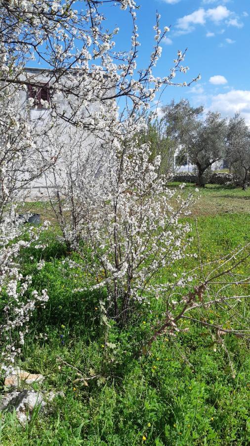 פולינאנו א מארה Casa Alle Vigne מראה חיצוני תמונה