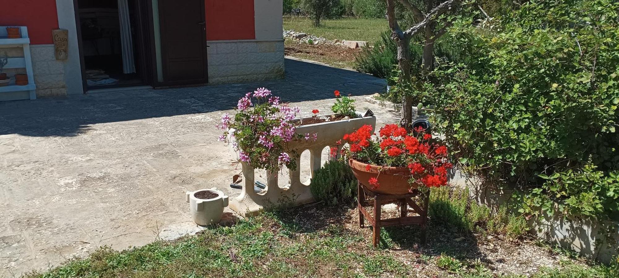 פולינאנו א מארה Casa Alle Vigne מראה חיצוני תמונה