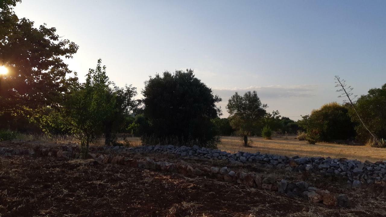 פולינאנו א מארה Casa Alle Vigne מראה חיצוני תמונה