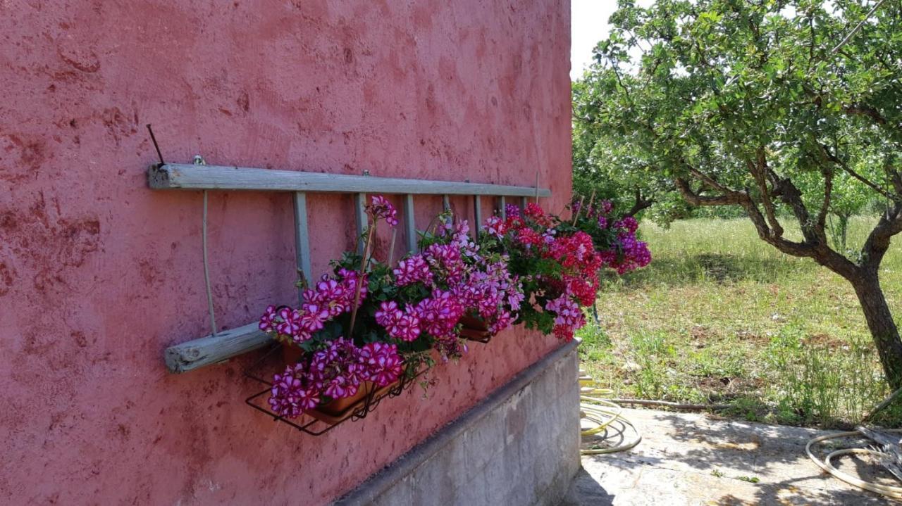 פולינאנו א מארה Casa Alle Vigne מראה חיצוני תמונה